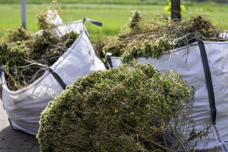 Blackberry Bush Removal in Aiken, SC