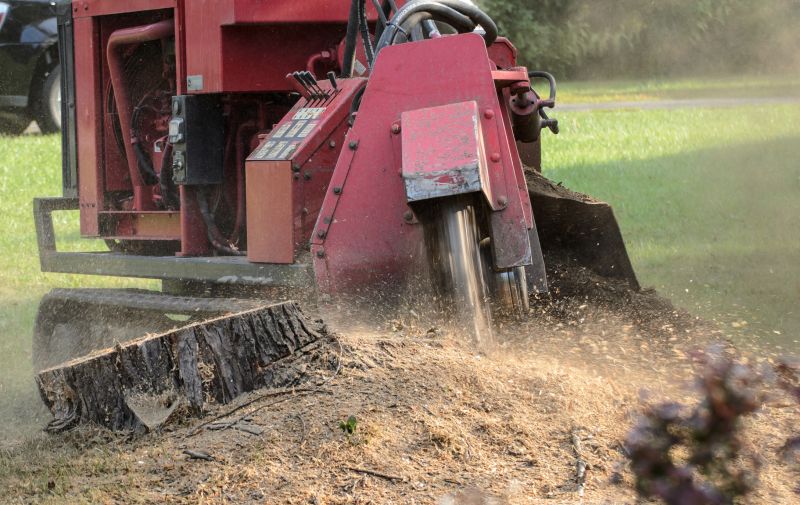Commercial Stump Grinding in Doylestown, PA