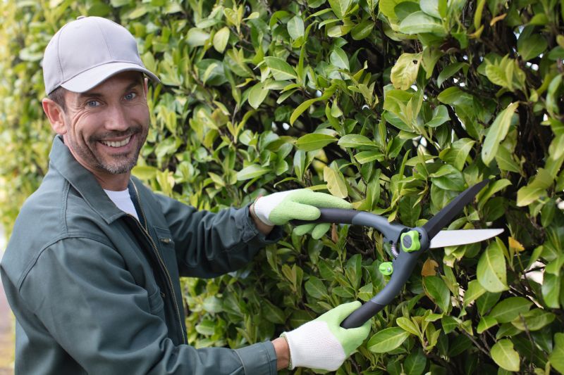 Evergreen Hedge Trimming in Rockwall, TX