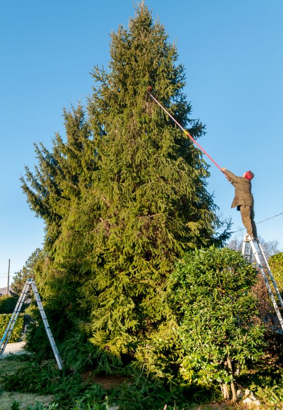 Tree Lopping Service in Doylestown, PA